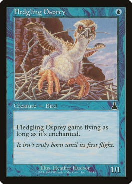 naokuroshop MTG [UDS][033][青][C][JP][巣立つミサゴ/Fledgling Osprey] NM