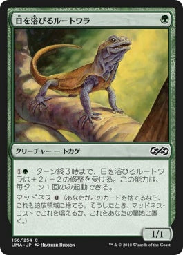 naokuroshop MTG [UMA][156][緑][C][JP][日を浴びるルートワラ/Basking Rootwalla] NM