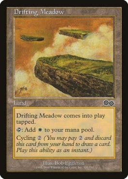 naokuroshop MTG [USG][320][土地][C][EN][漂う牧草地/Drifting Meadow] NM