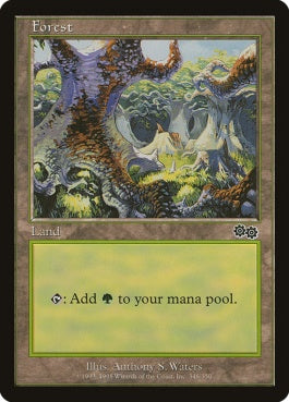 naokuroshop MTG [USG][348][土地][C][EN][森/Forest] NM