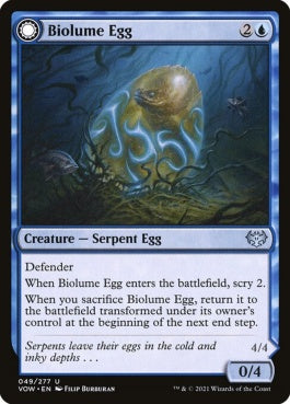 naokuroshop MTG [VOW][049][青][U][EN][生物光の卵/Biolume Egg] NM