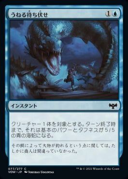 naokuroshop MTG [VOW][077][青][C][JP][うねる待ち伏せ/Serpentine Ambush]（foil） NM