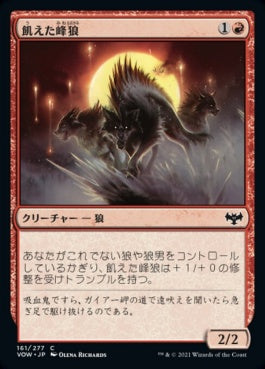 naokuroshop MTG [VOW][161][赤][C][JP][飢えた峰狼/Hungry Ridgewolf]（foil） NM