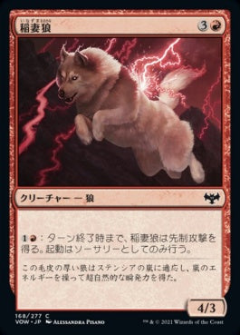 naokuroshop MTG [VOW][168][赤][C][JP][稲妻狼/Lightning Wolf] NM