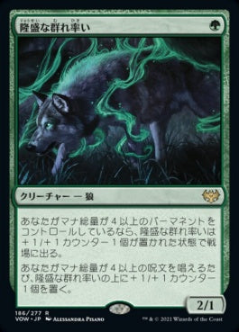 naokuroshop MTG [VOW][186][緑][R][JP][隆盛な群れ率い/Ascendant Packleader] NM