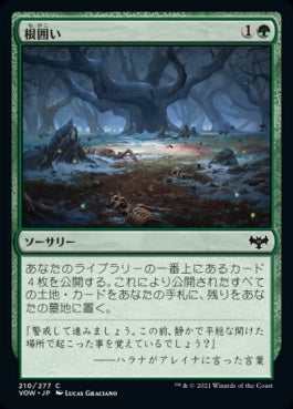 naokuroshop MTG [VOW][210][緑][C][JP][根囲い/Mulch] NM