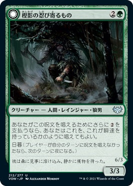 naokuroshop MTG [VOW][212][緑][U][JP][樫影の忍び寄るもの/Oakshade Stalker] NM