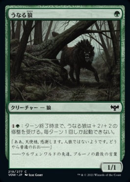 naokuroshop MTG [VOW][219][緑][C][JP][うなる狼/Snarling Wolf]（foil） NM