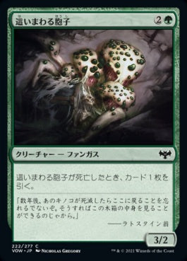 naokuroshop MTG [VOW][222][緑][C][JP][這いまわる胞子/Spore Crawler]（foil） NM