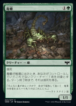 naokuroshop MTG [VOW][224][緑][C][JP][毒蠍/Toxic Scorpion] NM