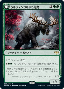 naokuroshop MTG [VOW][225][緑][R][JP][ウルヴェンワルドの奇異/Ulvenwald Oddity]（foil） NM