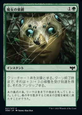 naokuroshop MTG [VOW][227][緑][C][JP][魔女の巣網/Witch's Web]（foil） NM