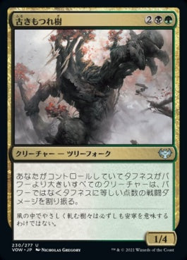 naokuroshop MTG [VOW][230][多][U][JP][古きもつれ樹/Ancient Lumberknot] NM