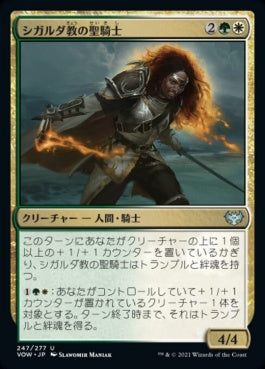 naokuroshop MTG [VOW][247][多][U][JP][シガルダ教の聖騎士/Sigardian Paladin]（foil） NM