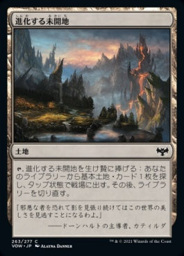 naokuroshop MTG [VOW][263][土地][C][JP][進化する未開地/Evolving Wilds]（foil） NM