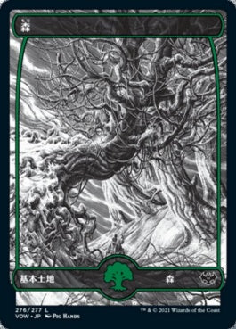 naokuroshop MTG [VOW][276][土地][C][JP][森/Forest] NM