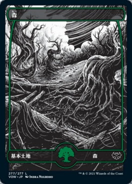 naokuroshop MTG [VOW][277][土地][C][JP][森/Forest]（foil） NM