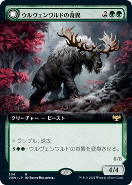 naokuroshop MTG [VOW][394][緑][R][JP][ウルヴェンワルドの奇異/Ulvenwald Oddity]（foil） NM