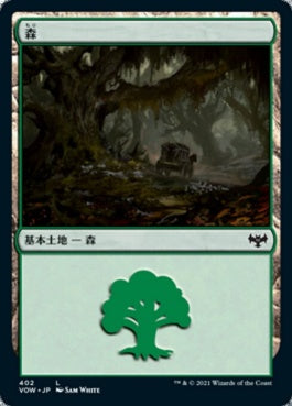 naokuroshop MTG [VOW][402][土地][C][JP][森/Forest]（foil） NM