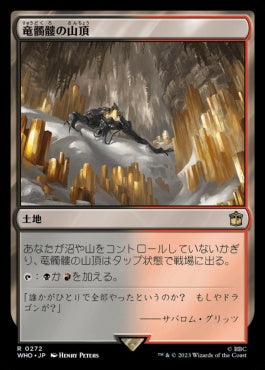 naokuroshop MTG [WHO][0272][土地][R][JP][竜髑髏の山頂/Dragonskull Summit]（foil） NM