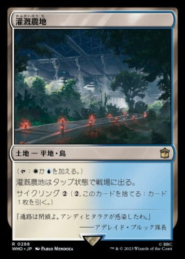 naokuroshop MTG [WHO][0288][土地][R][JP][灌漑農地/Irrigated Farmland]（foil） NM