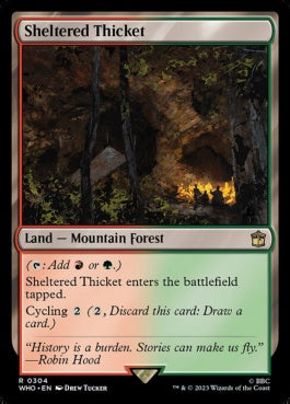 naokuroshop MTG [WHO][0304][土地][R][EN][隠れた茂み/Sheltered Thicket]（foil） NM