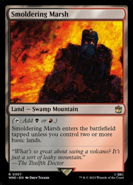 naokuroshop MTG [WHO][0307][土地][R][EN][燻る湿地/Smoldering Marsh] NM