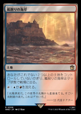 naokuroshop MTG [WHO][0308][土地][R][JP][嵐削りの海岸/Stormcarved Coast] NM