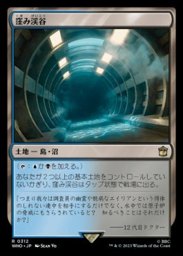 naokuroshop MTG [WHO][0312][土地][R][JP][窪み渓谷/Sunken Hollow]（foil） NM