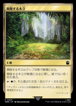 naokuroshop MTG [WHO][0325][土地][C][JP][興隆する木立/Thriving Grove]（foil） NM