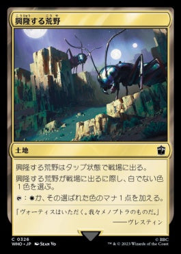 naokuroshop MTG [WHO][0326][土地][C][JP][興隆する荒野/Thriving Heath]（foil） NM