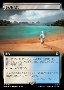 naokuroshop MTG [WHO][0488][土地][R][JP][さびれた浜/Deserted Beach] NM