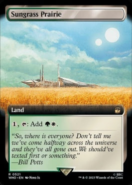 naokuroshop MTG [WHO][0521][土地][R][EN][サングラスの大草原/Sungrass Prairie]（foil） NM