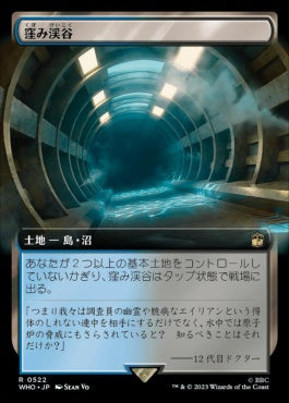 naokuroshop MTG [WHO][0522][土地][R][JP][窪み渓谷/Sunken Hollow] NM