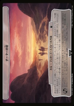 naokuroshop MTG [WHO][0574][無][C][JP][チーターの星/The Cheetah Planet] NM