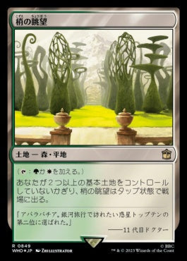 naokuroshop MTG [WHO][0849][土地][R][JP][梢の眺望/Canopy Vista] NM