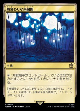 naokuroshop MTG [WHO][0867][土地][R][JP][風変わりな果樹園/Exotic Orchard] NM