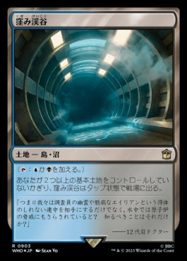 naokuroshop MTG [WHO][0903][土地][R][JP][窪み渓谷/Sunken Hollow] NM