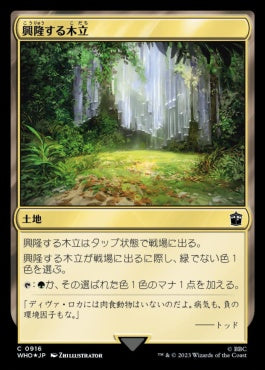 naokuroshop MTG [WHO][0916][土地][C][JP][興隆する木立/Thriving Grove] NM