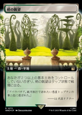 naokuroshop MTG [WHO][1072][土地][R][JP][梢の眺望/Canopy Vista] NM