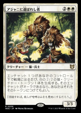 naokuroshop MTG [WOC][059][白][R][JP][アジャニに選ばれし者/Ajani's Chosen] NM