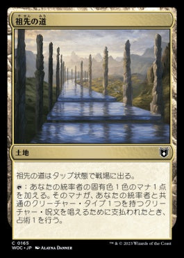 naokuroshop MTG [WOC][165][土地][C][JP][祖先の道/Path of Ancestry] NM