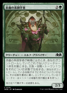 naokuroshop MTG [WOE][179][緑][C][JP][赤歯の系図学者/Redtooth Genealogist]（foil） NM