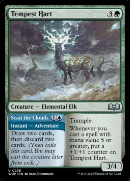 naokuroshop MTG [WOE][238][多][U][EN][大嵐の雄鹿/Tempest Hart]（foil） NM