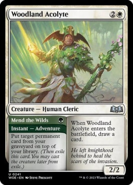 naokuroshop MTG [WOE][241][多][U][EN][森林地の侍祭/Woodland Acolyte]（foil） NM