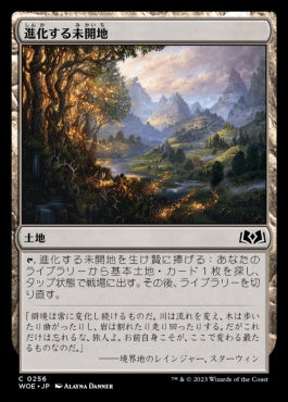 naokuroshop MTG [WOE][256][土地][C][JP][進化する未開地/Evolving Wilds] NM