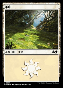 naokuroshop MTG [WOE][267][土地][C][JP][平地/Plains] NM