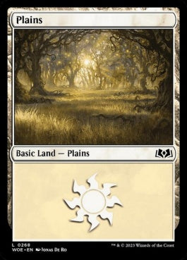 naokuroshop MTG [WOE][268][土地][C][EN][平地/Plains]（foil） NM