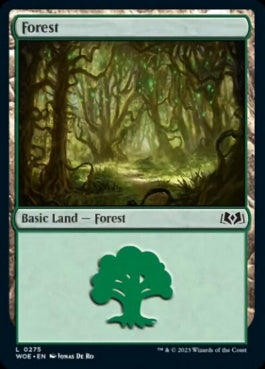 naokuroshop MTG [WOE][275][土地][C][EN][森/Forest]（foil） NM