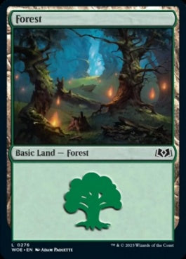 naokuroshop MTG [WOE][276][土地][C][EN][森/Forest] NM